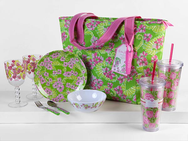 Cooler bag and tableware. 